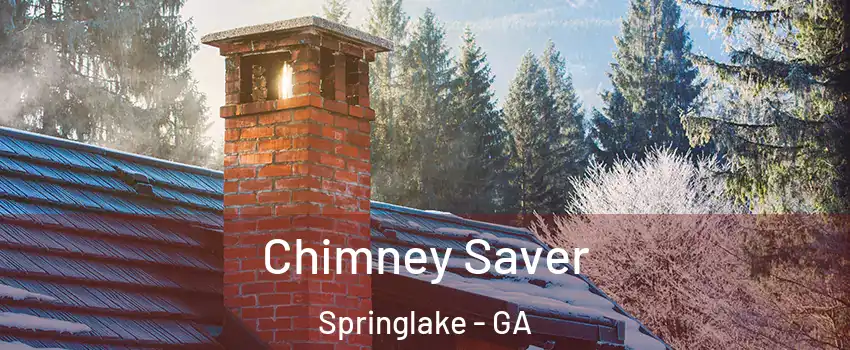 Chimney Saver Springlake - GA