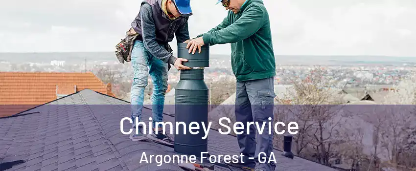 Chimney Service Argonne Forest - GA