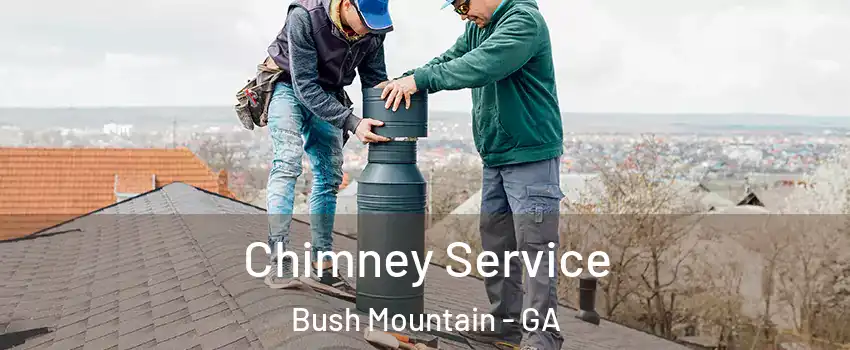 Chimney Service Bush Mountain - GA
