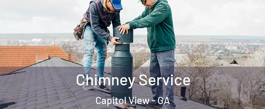Chimney Service Capitol View - GA