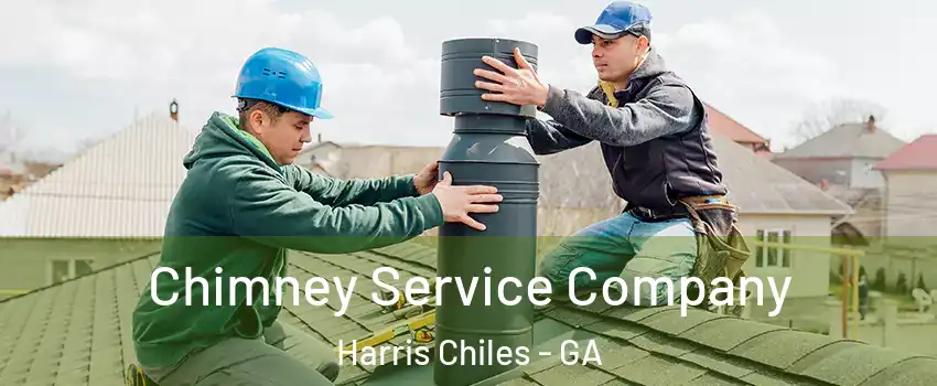 Chimney Service Company Harris Chiles - GA