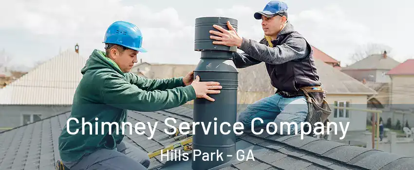 Chimney Service Company Hills Park - GA