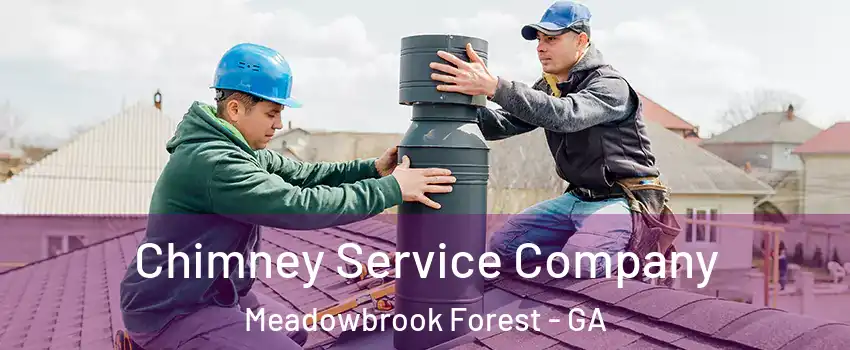 Chimney Service Company Meadowbrook Forest - GA