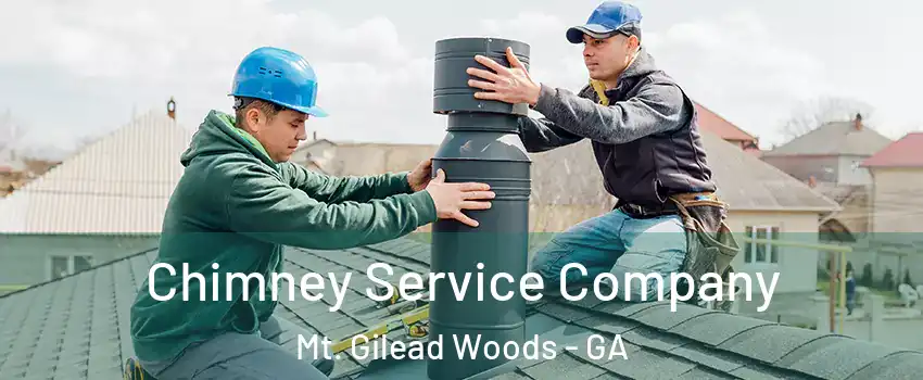 Chimney Service Company Mt. Gilead Woods - GA