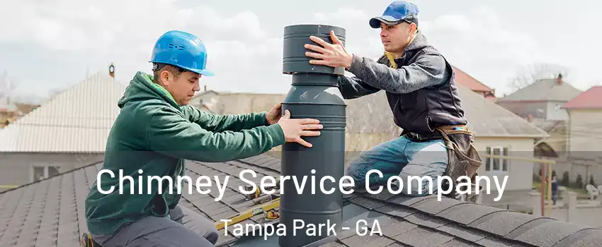 Chimney Service Company Tampa Park - GA