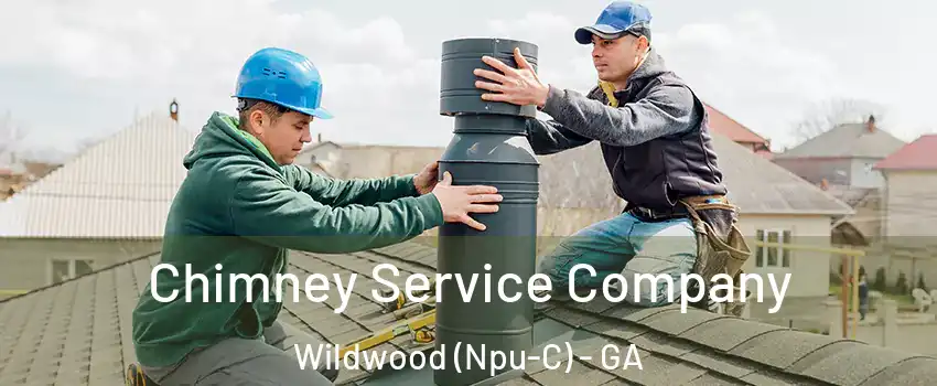 Chimney Service Company Wildwood (Npu-C) - GA