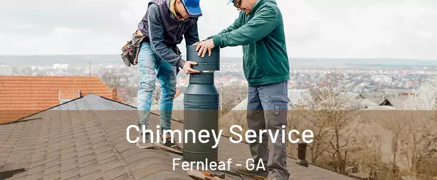 Chimney Service Fernleaf - GA