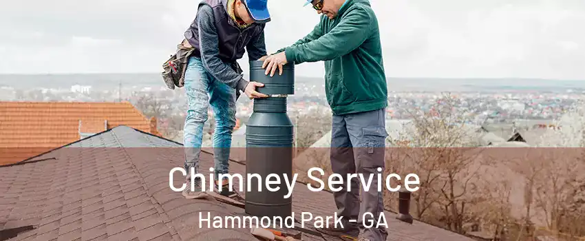 Chimney Service Hammond Park - GA