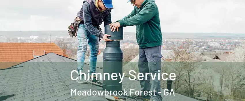 Chimney Service Meadowbrook Forest - GA