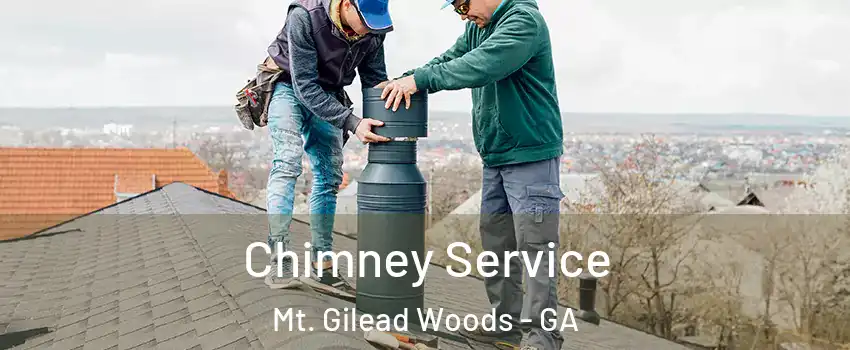 Chimney Service Mt. Gilead Woods - GA