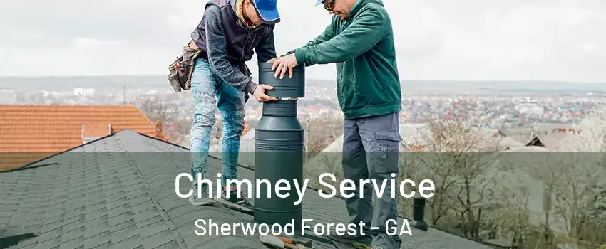 Chimney Service Sherwood Forest - GA