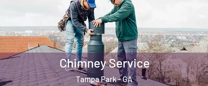 Chimney Service Tampa Park - GA