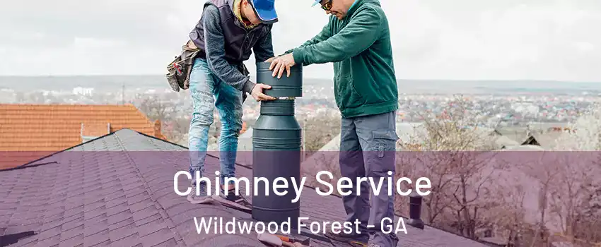 Chimney Service Wildwood Forest - GA