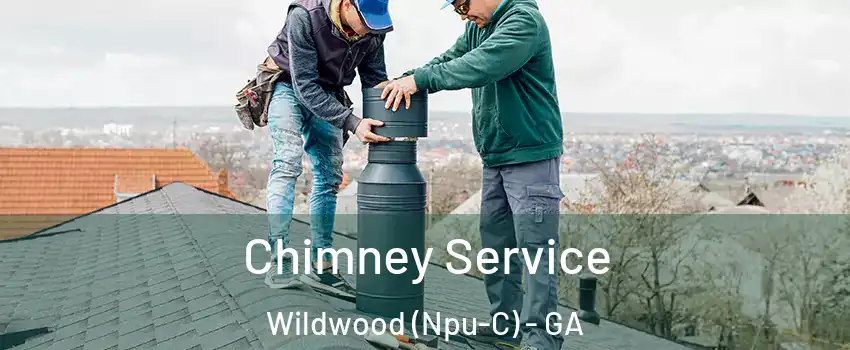 Chimney Service Wildwood (Npu-C) - GA