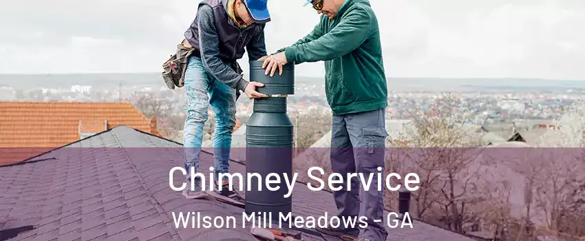 Chimney Service Wilson Mill Meadows - GA
