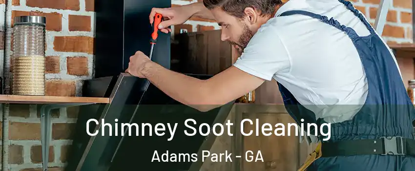 Chimney Soot Cleaning Adams Park - GA