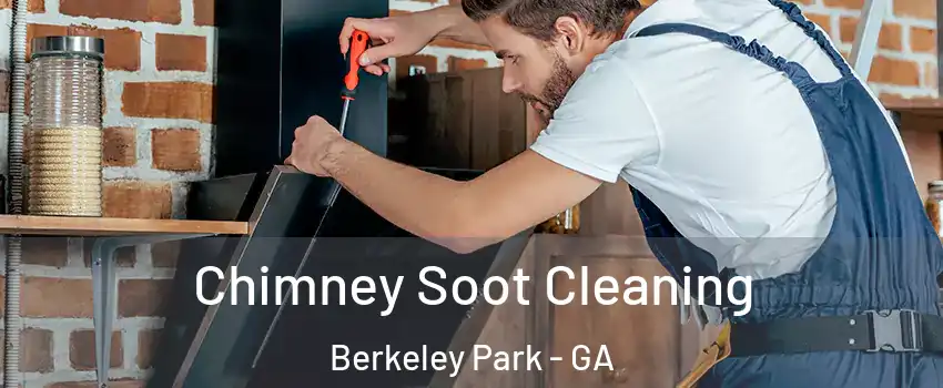 Chimney Soot Cleaning Berkeley Park - GA