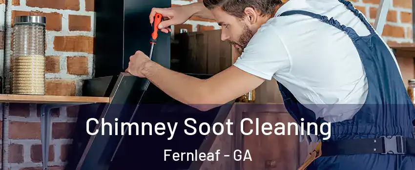 Chimney Soot Cleaning Fernleaf - GA