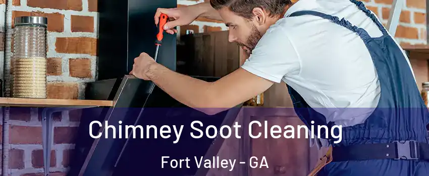 Chimney Soot Cleaning Fort Valley - GA