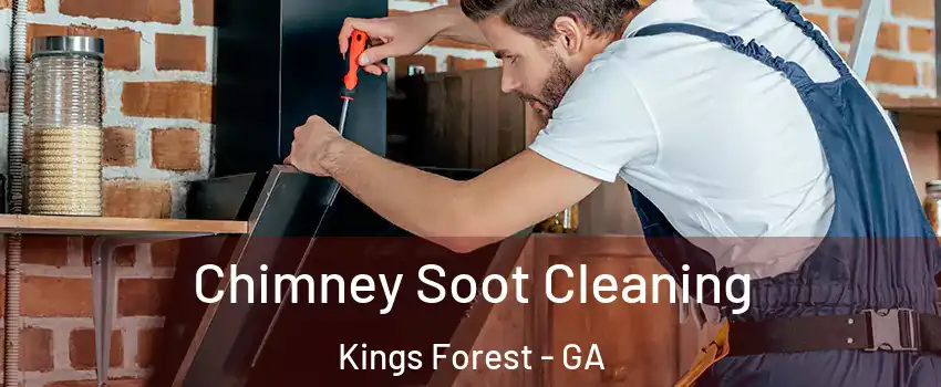 Chimney Soot Cleaning Kings Forest - GA