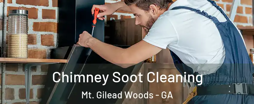 Chimney Soot Cleaning Mt. Gilead Woods - GA