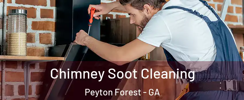 Chimney Soot Cleaning Peyton Forest - GA