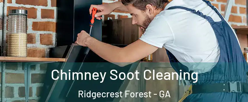 Chimney Soot Cleaning Ridgecrest Forest - GA