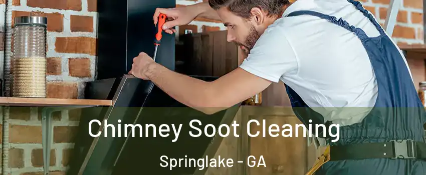 Chimney Soot Cleaning Springlake - GA