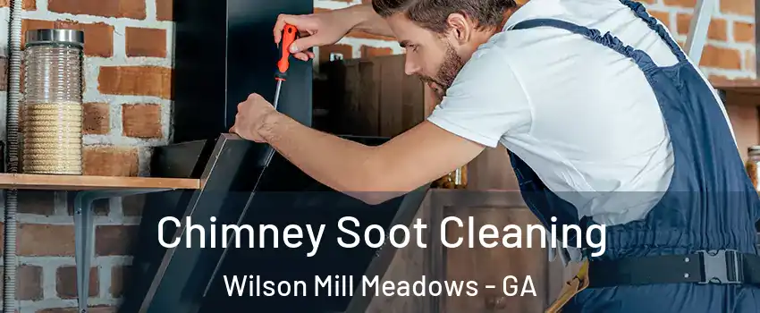 Chimney Soot Cleaning Wilson Mill Meadows - GA
