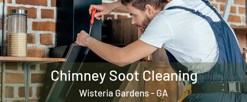 Chimney Soot Cleaning Wisteria Gardens - GA