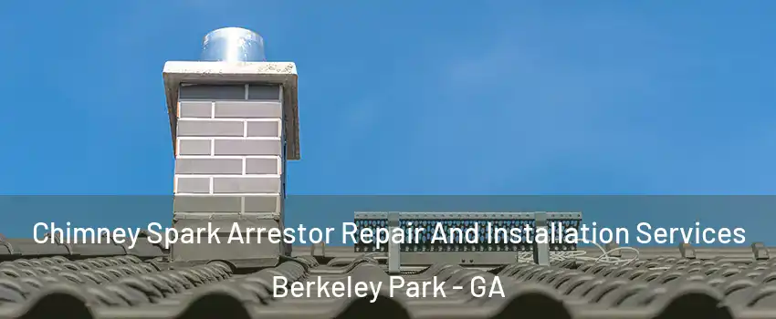 Chimney Spark Arrestor Repair And Installation Services Berkeley Park - GA