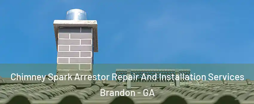 Chimney Spark Arrestor Repair And Installation Services Brandon - GA