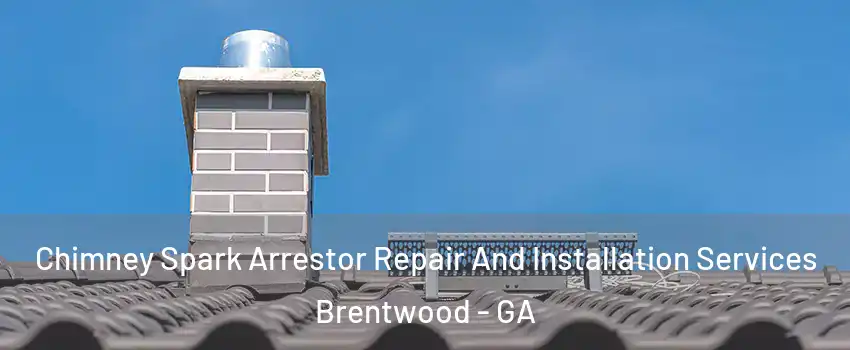 Chimney Spark Arrestor Repair And Installation Services Brentwood - GA