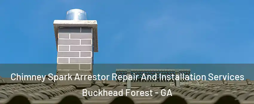 Chimney Spark Arrestor Repair And Installation Services Buckhead Forest - GA
