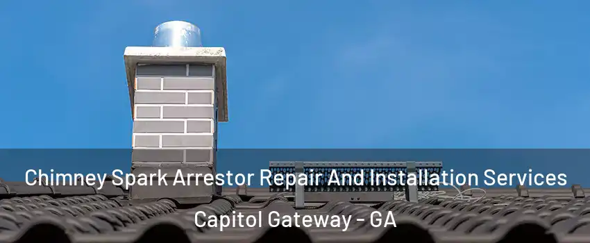 Chimney Spark Arrestor Repair And Installation Services Capitol Gateway - GA