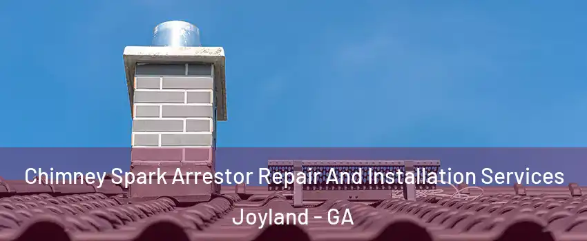 Chimney Spark Arrestor Repair And Installation Services Joyland - GA