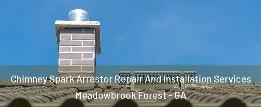 Chimney Spark Arrestor Repair And Installation Services Meadowbrook Forest - GA