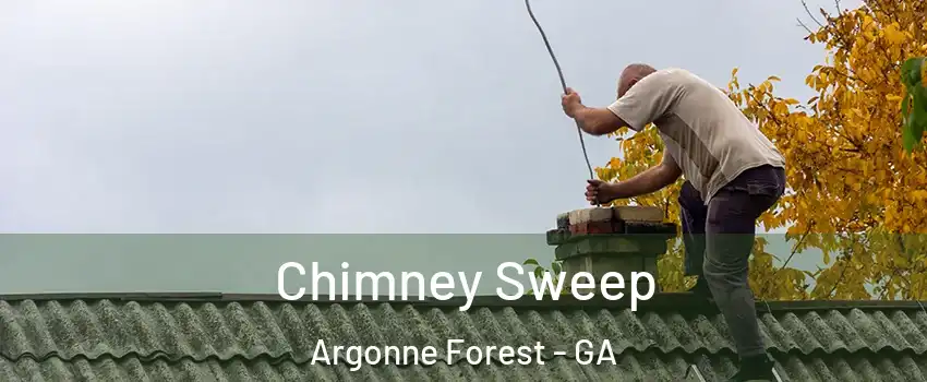 Chimney Sweep Argonne Forest - GA