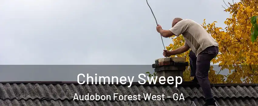 Chimney Sweep Audobon Forest West - GA