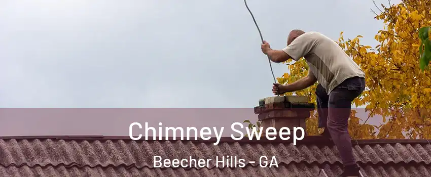 Chimney Sweep Beecher Hills - GA