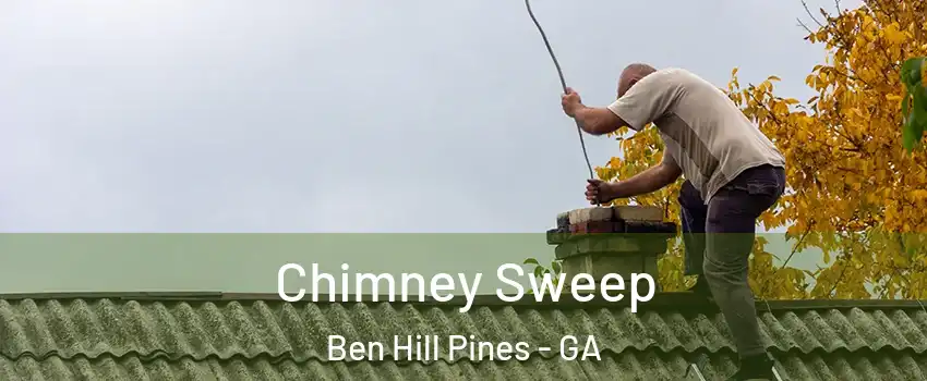 Chimney Sweep Ben Hill Pines - GA