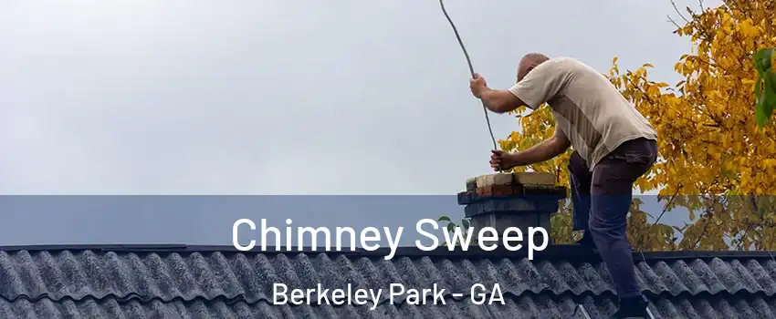 Chimney Sweep Berkeley Park - GA