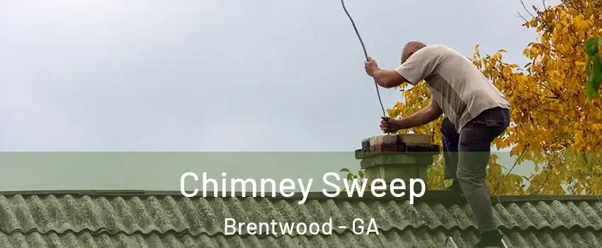 Chimney Sweep Brentwood - GA