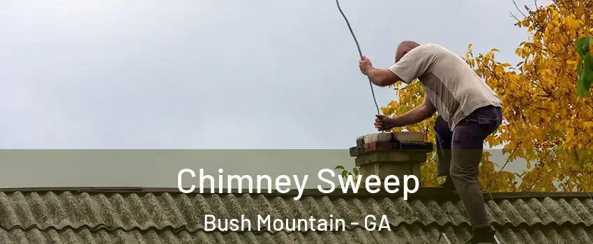 Chimney Sweep Bush Mountain - GA