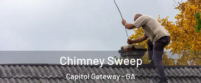 Chimney Sweep Capitol Gateway - GA