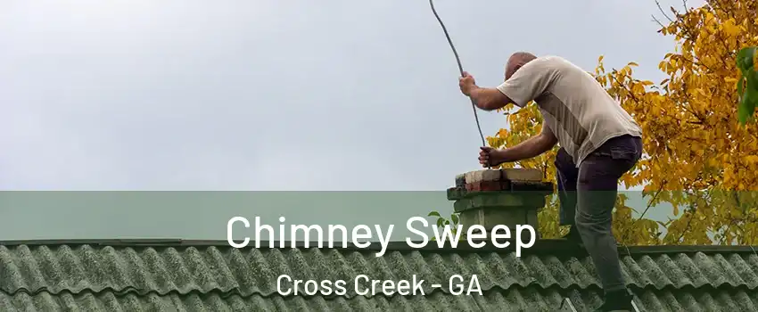 Chimney Sweep Cross Creek - GA