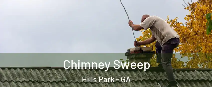 Chimney Sweep Hills Park - GA