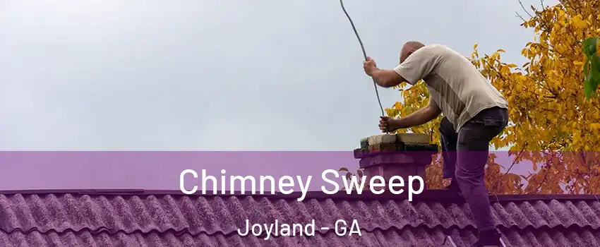 Chimney Sweep Joyland - GA
