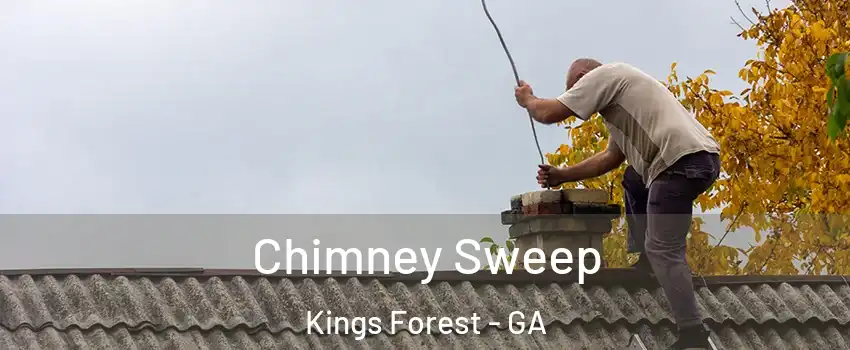 Chimney Sweep Kings Forest - GA