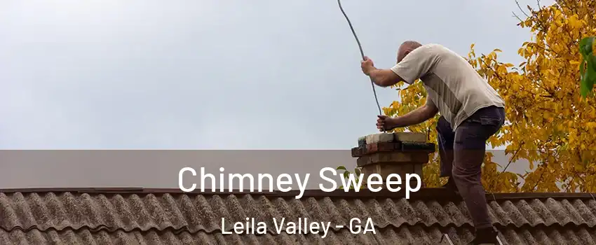 Chimney Sweep Leila Valley - GA